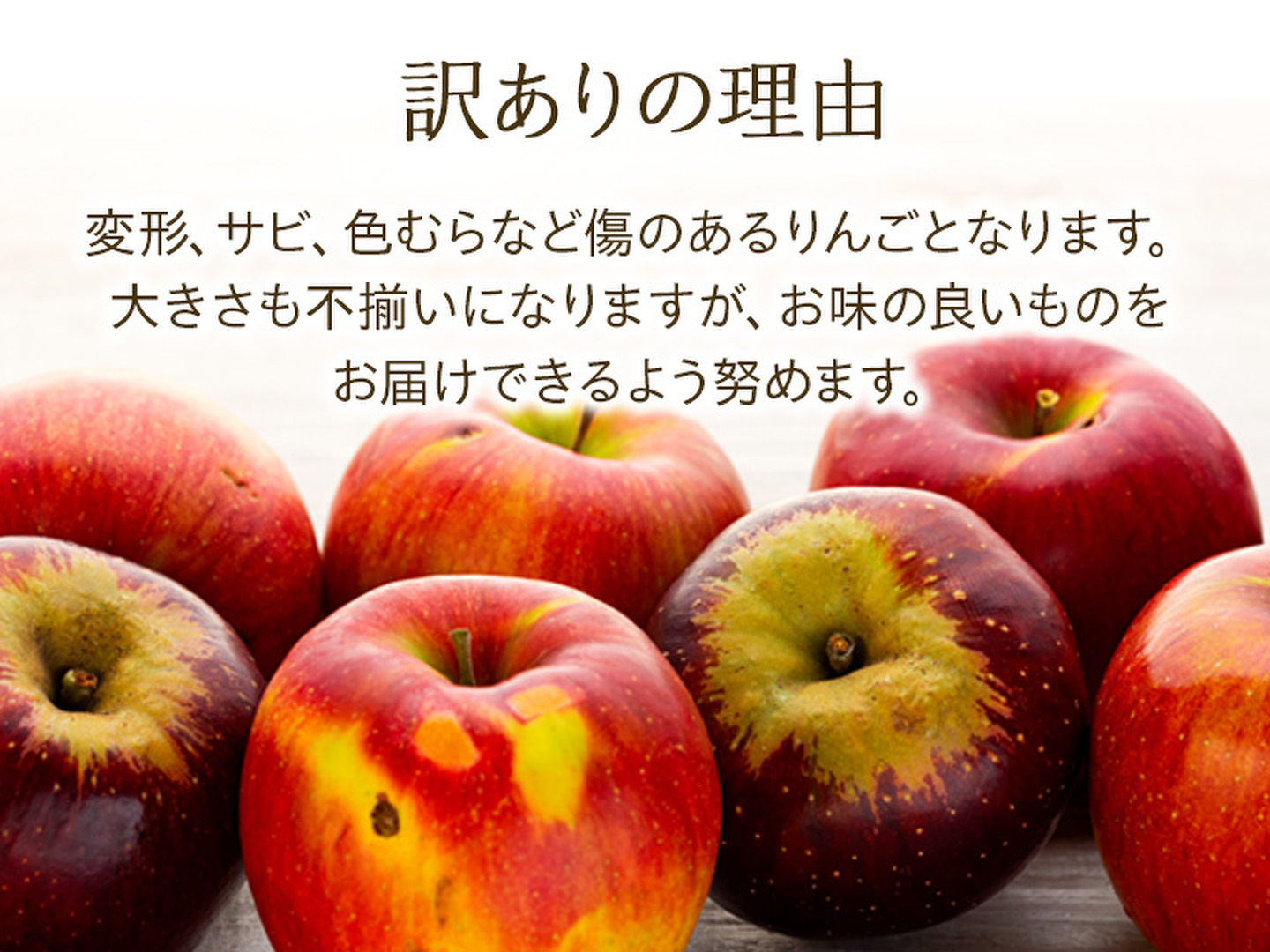 ≪収穫中≫ 信州のりんご【おぜの紅】訳あり 約10kg：長野県産の
