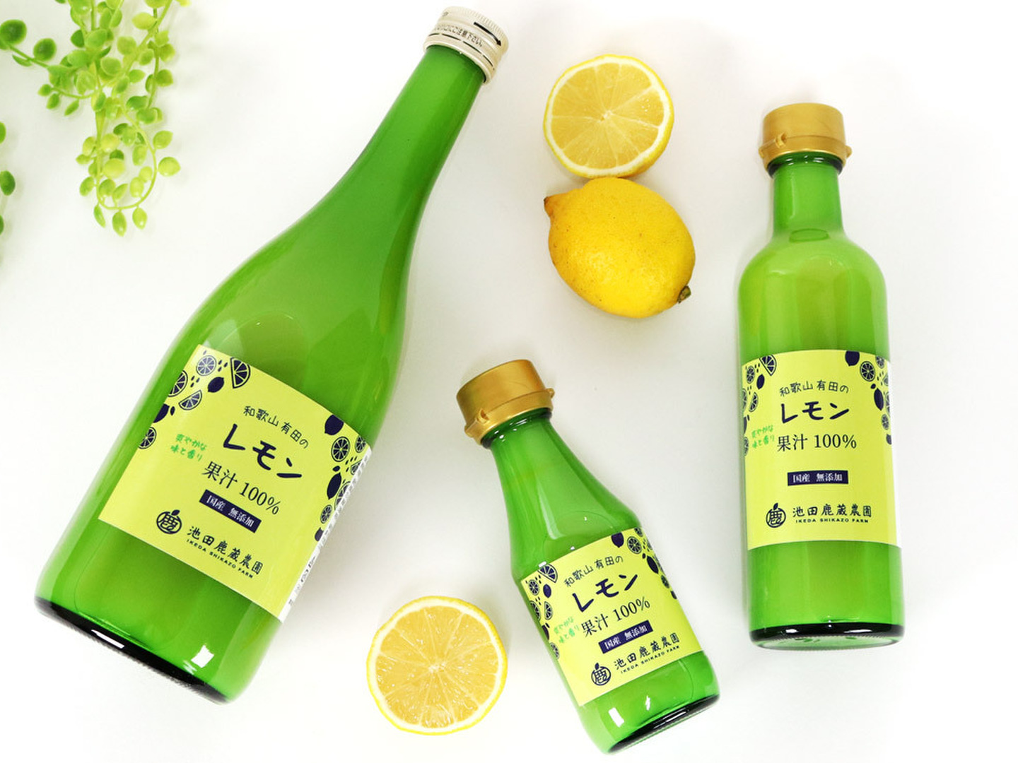 和歌山県産 レモン果汁 150ml×1本：和歌山県産の加工品｜食べ