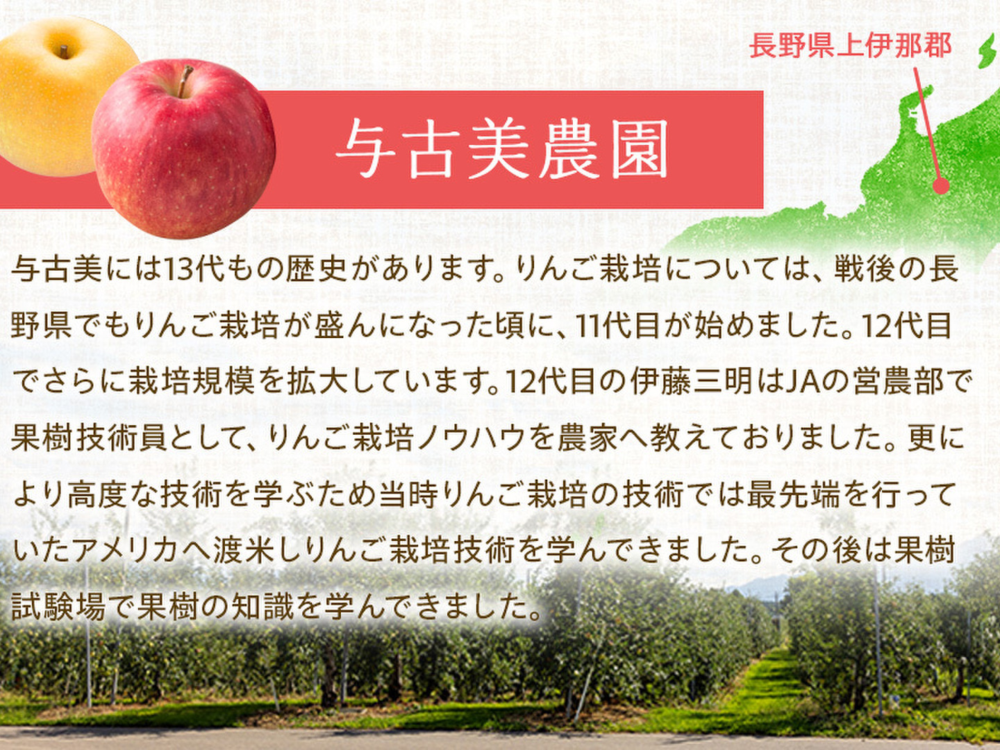お歳暮ギフトに。希少なりんご爽やかな甘さの【あいかの香り
