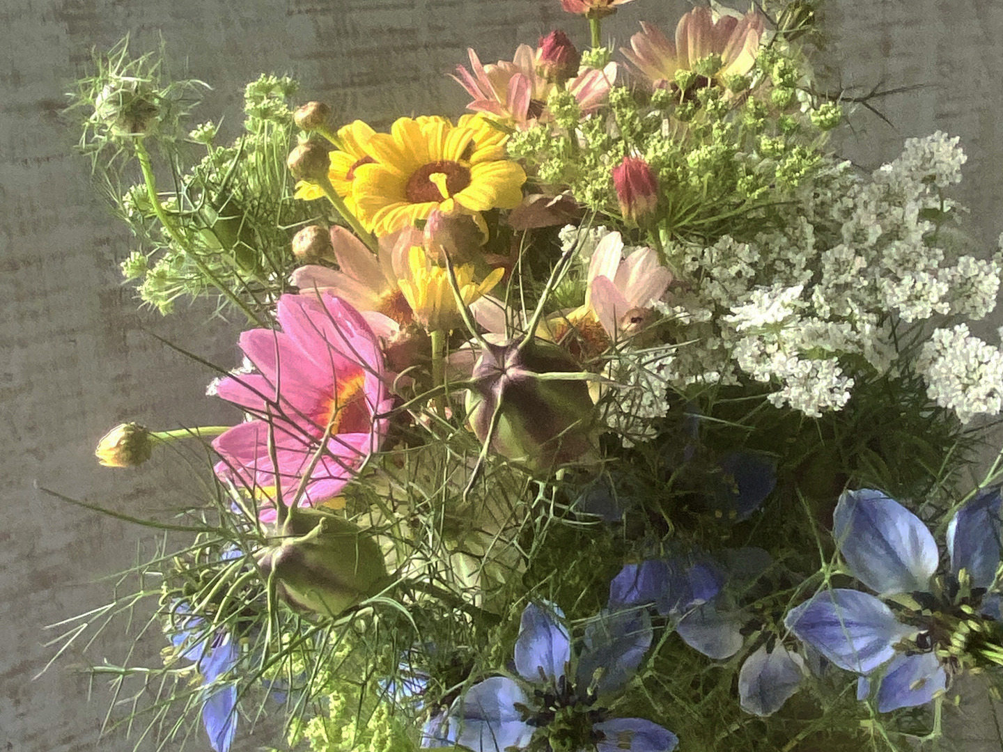 モリモリお任せ20本以上】田舎のフラワーガーデンに咲いている旬のお花