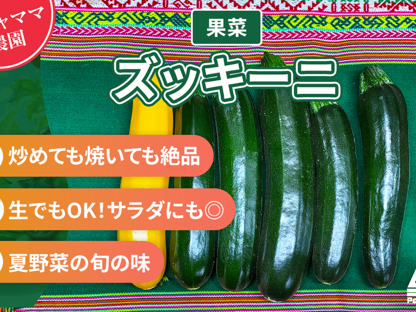 ズッキーニ4kg☆15-20本：茨城県産の野菜｜食べチョク｜産地直送