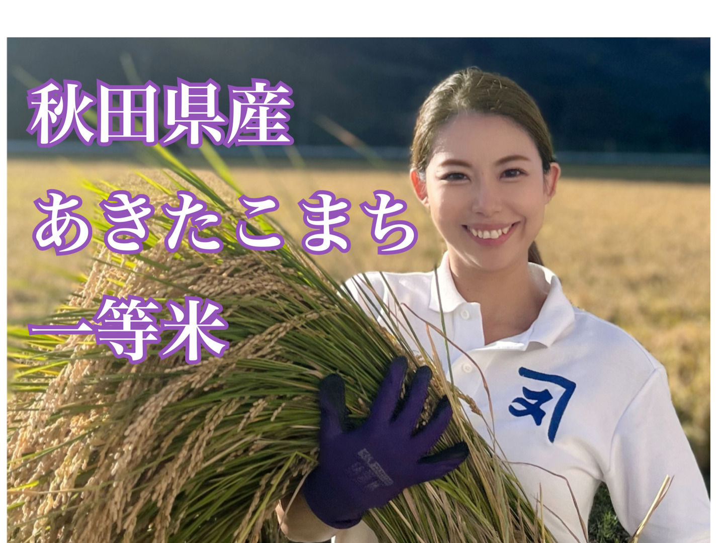 楽天市場】【鈴木又五郎商店】令和6年度産 新米 一等玄米