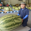 菊川農園