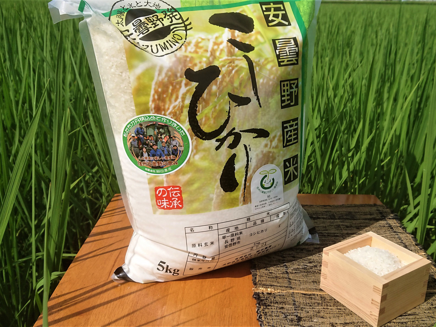 信州産コシヒカリ１０キロ