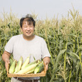 高橋農産
