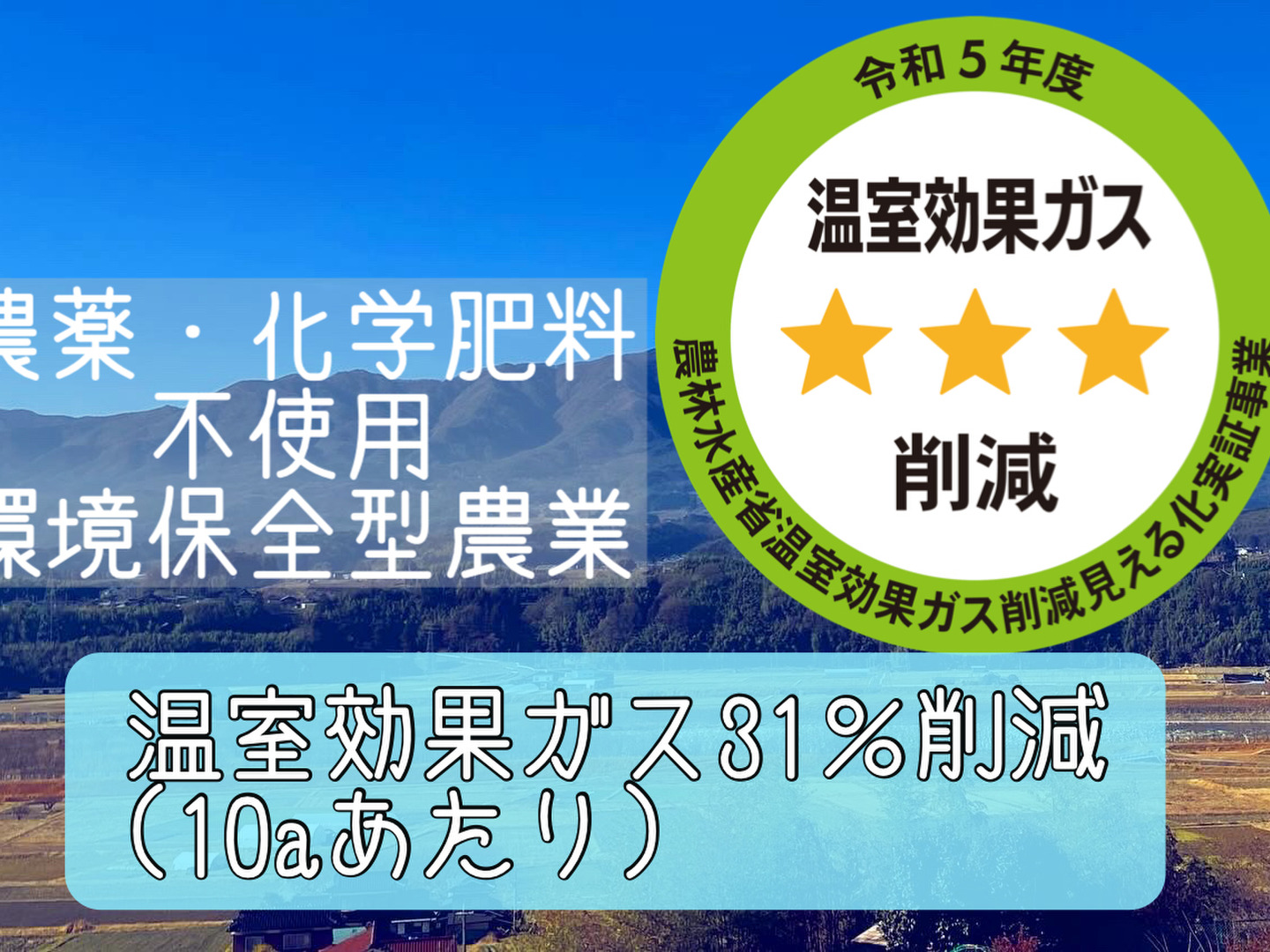 令和5年産 農薬・化学肥料不使用 南信州のこしひかり《玄米》5 令和5年産 農薬・化学肥料不使用 南信州のこしひかり《玄米》5