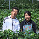 児玉いちご農園