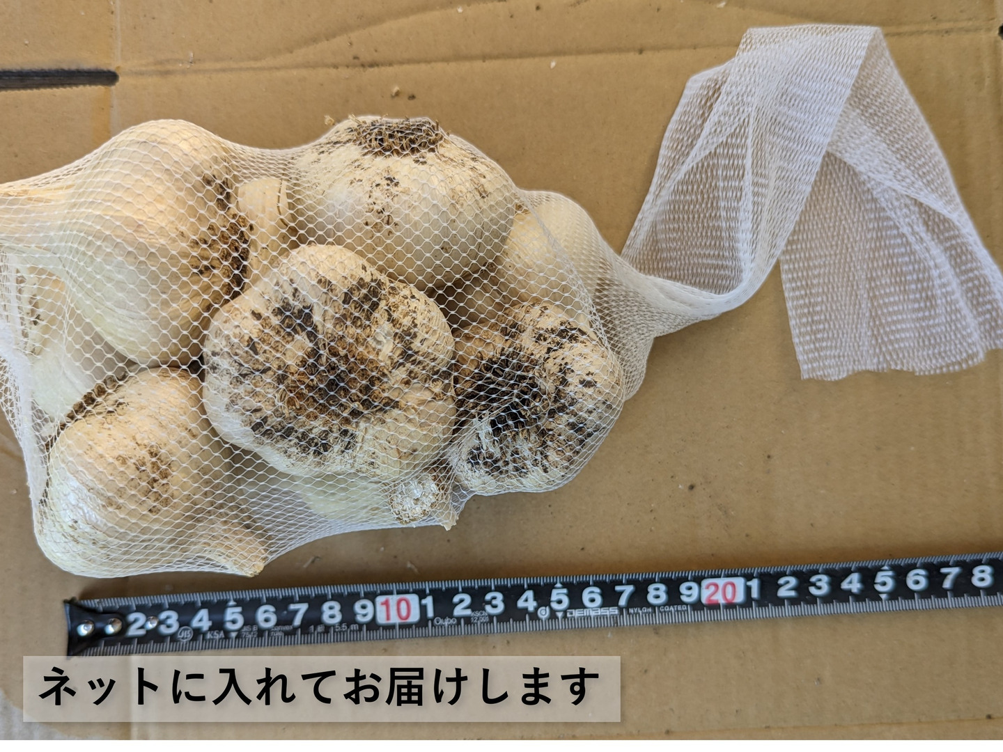 【みーーみ】2L以上｜農家直送・風干し半乾燥にんにく（土付き根付き） 福地村産 土付き L 2kg 青森県産にんにく 半生 半乾燥 夏坂ふぁ