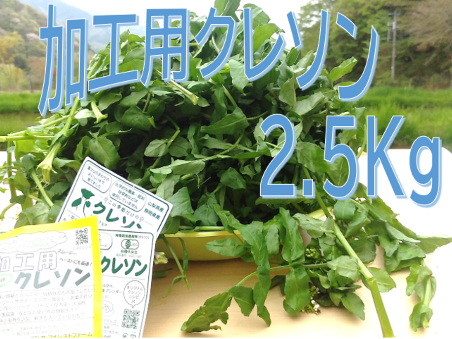 世界を買える 海外ブランド 有機認証クレソン】 加工用クレソン500g5袋 飲食店 【大容量/ 野菜