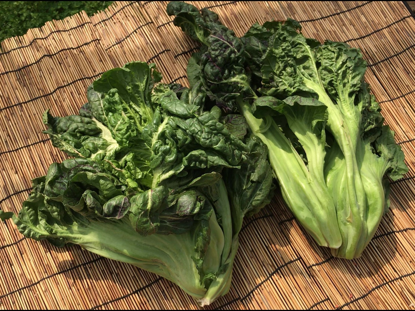 年末のプロモーション大特価！ d0b3ff6ef470db44118308a485581b 野菜