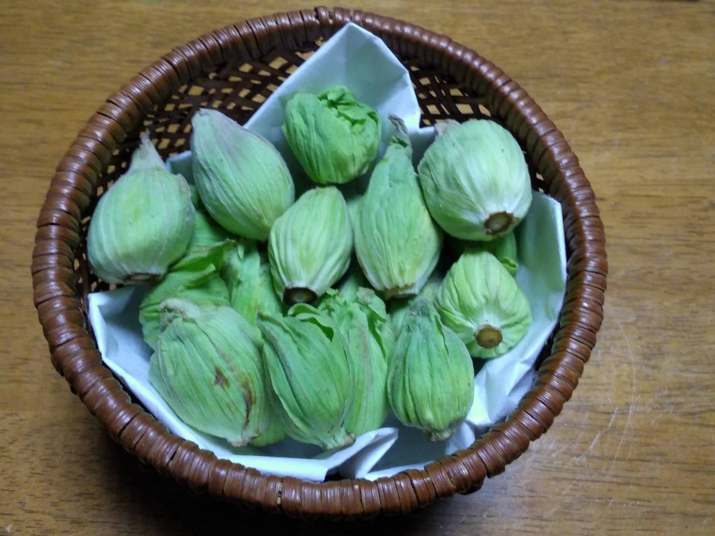 デパート 送料無料 天然ふきのとう ネコポスの箱いっぱい 柔らかくて美味しい1 贖い 野菜