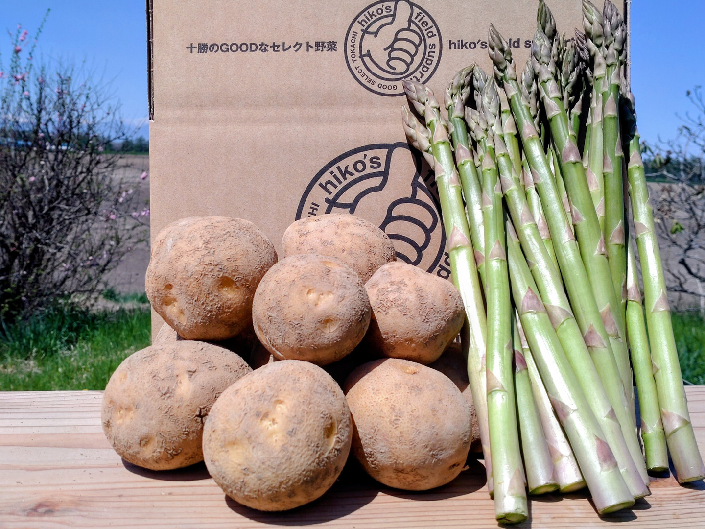 熟成じゃがいも🥔新鮮アスパラセット✨北海道産‼️【アスパラ】約500g