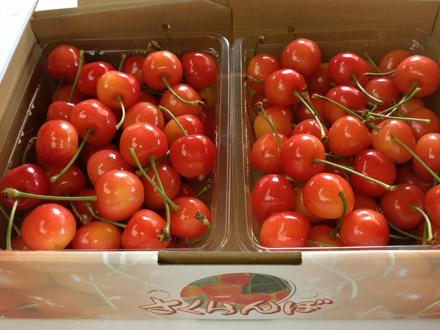 【訳あり大特価!!】色薄紅秀峰3kg Lサイズ以上 青森県産 果樹園直送 紅秀峰 1kg 2L（家庭用）※クール便 | 生プルーンと信州リンゴの