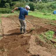 Chigasaki Organic Farm