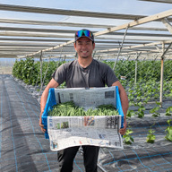 よっこファーム