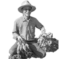 こばさんち農園