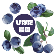 ひなた農園　高品質ブルーベリー