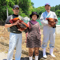 みやざき地頭鶏 百笑村