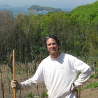 コンパニョーニファームズ