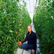 ベジアート土屋トマトファクトリー