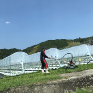 さわちゃん農園