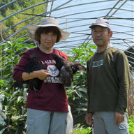 ピヨにゃんファーム