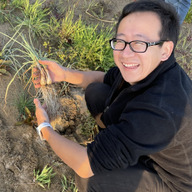 限定栽培】農薬不使用の根付き生らっきょう 2kg 【収穫から