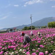 伊勢くすり本舗