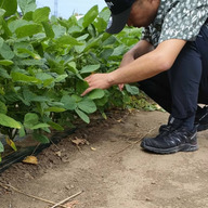 こくふにじいろFARM