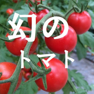 miuトマトの飯田農園