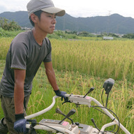 米農房そまねこ