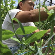 米穀青果やまもと