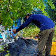 やわら飯塚農園