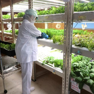 大利根ファーム