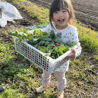 ふぁ〜む。ほのかなみのり