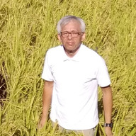 米光自然農園　米光義幸