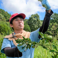 Shoji　紀　Farm　しょうじきふぁーむ