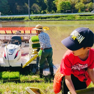 十代目芳兵衛商店