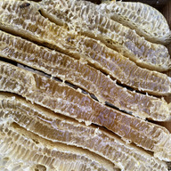 幻！日本蜜蜂、日本ミツバチの巣蜜 500g：大分県産のはちみつ