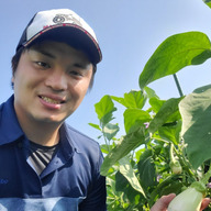 安心菜園あんじつ