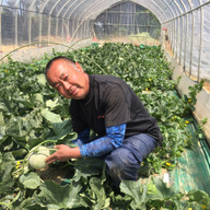 みなみ果樹園芸