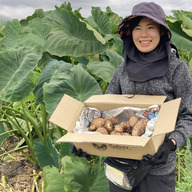 翔栄ファーム前橋農場