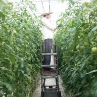 木曽三川ファーム