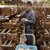 間木しいたけハウス@東成瀬テックソリューションズ