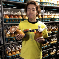 富士きのこセンター