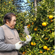 大塚農園（神奈川県）