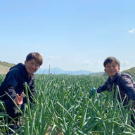 河西青果