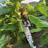 フルーツパーラー1up