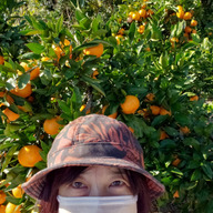 うえやまファーム