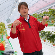 あさも畑のたわわにゆうき